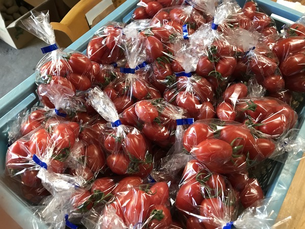 トマトの贈り物【キッチン・ブレス日記】